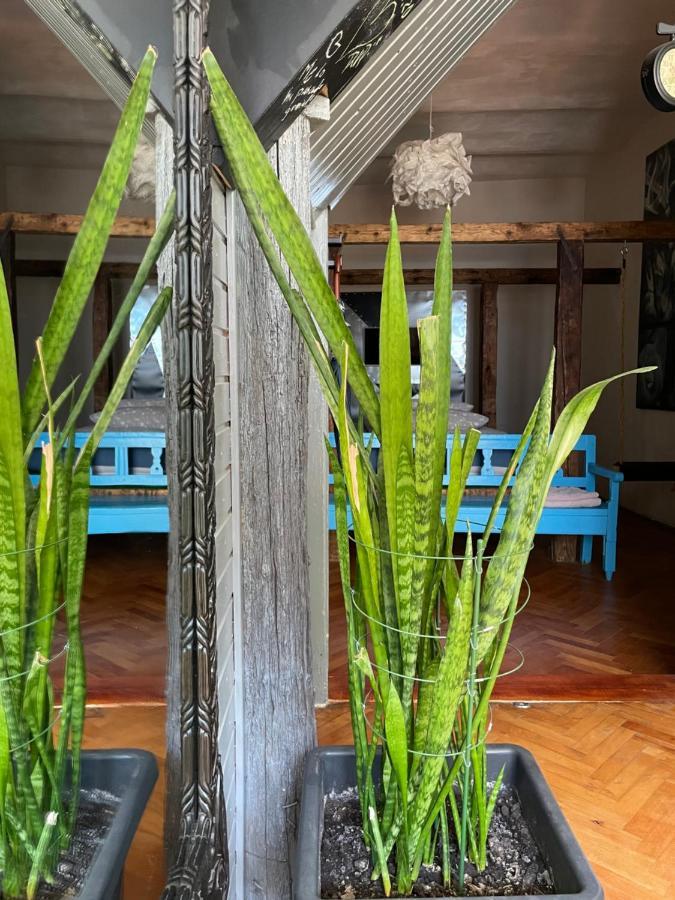 Apartamente A La Cluj Kültér fotó